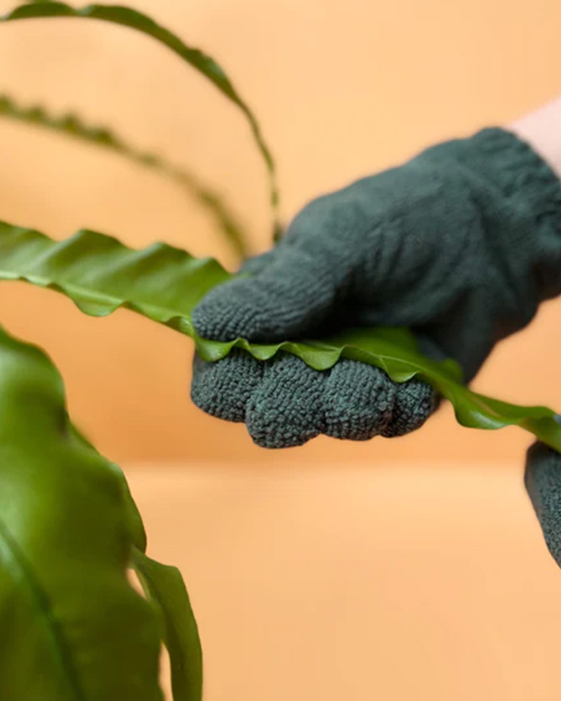 We the Wild Leaf Cleaning Gloves