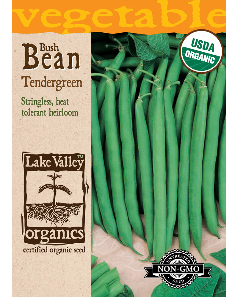 Bean Bush Tendergreen Organic