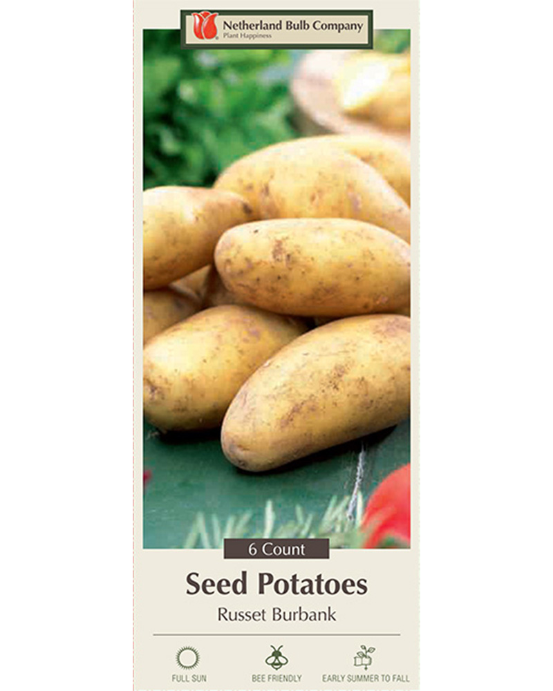 Seed Potato Russet Burbank