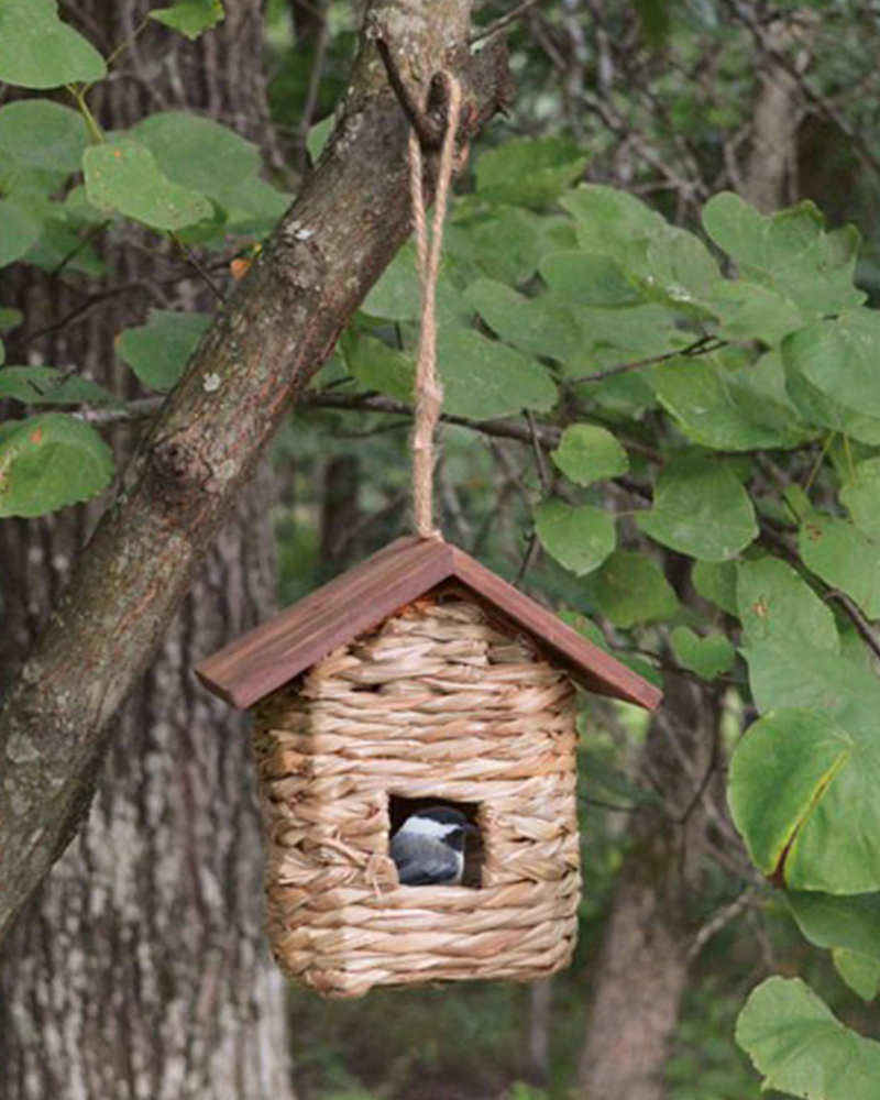 Hanging Grass Roosting Pocket with Roof