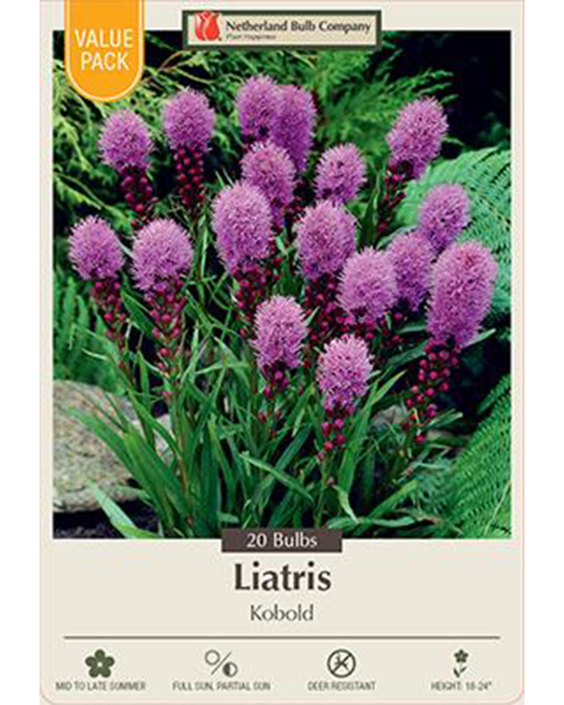 Liatris Kobold Value Pack