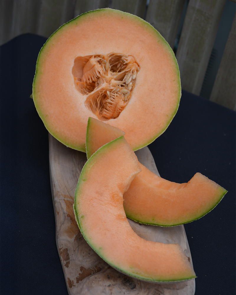 Cantaloupe Hales Best 4"