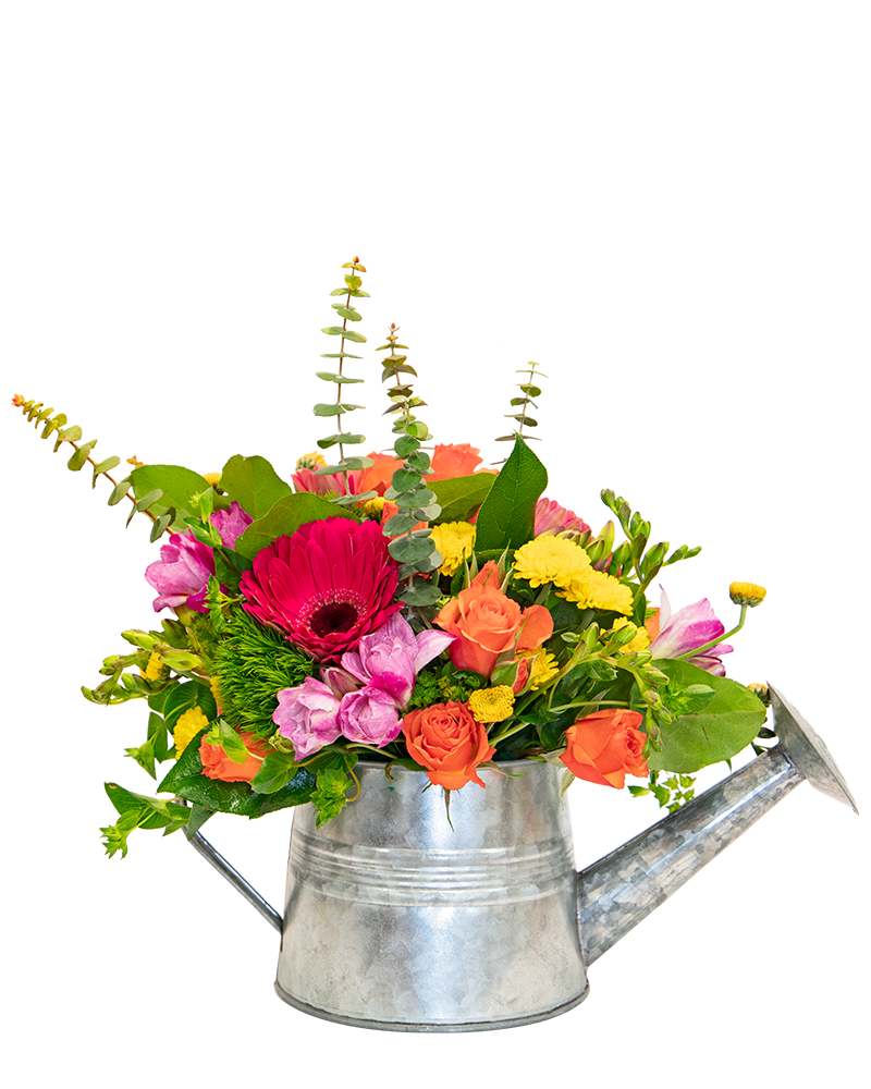 Shower of Flowers Floral Arrangement from $79-$99