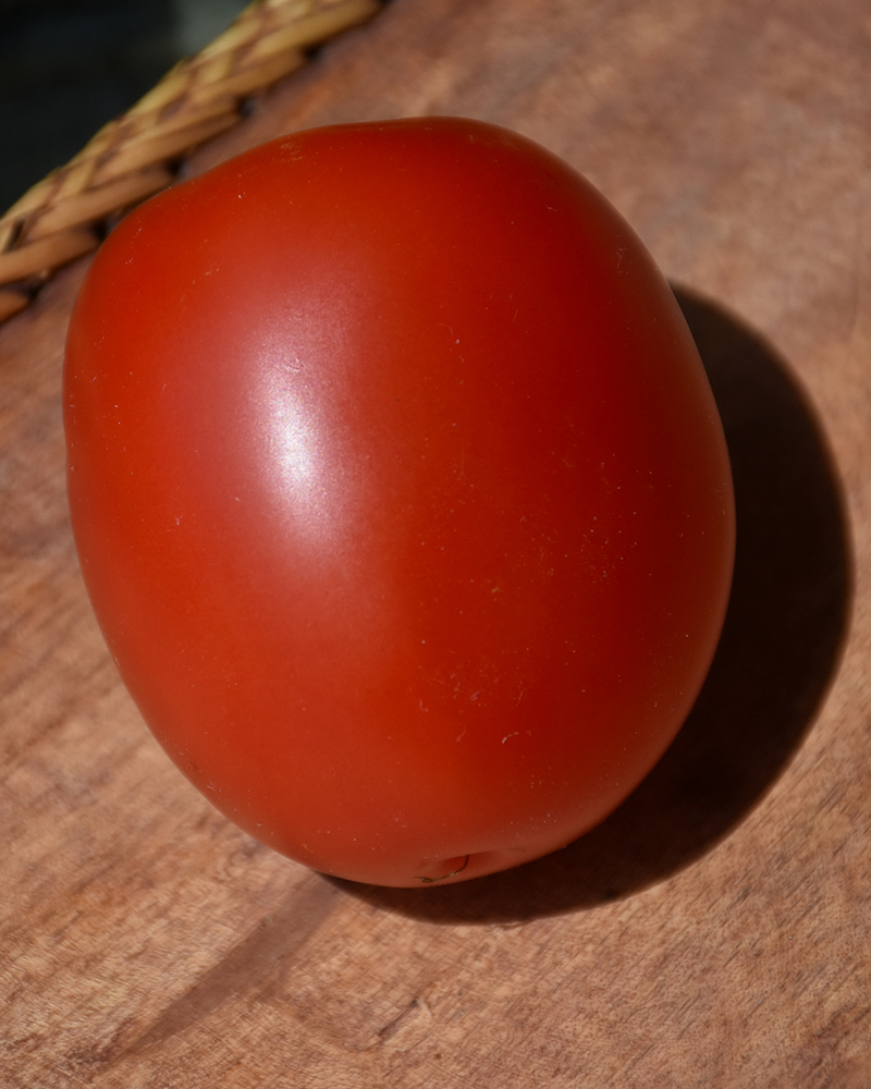Tomato Venti Salad 4"