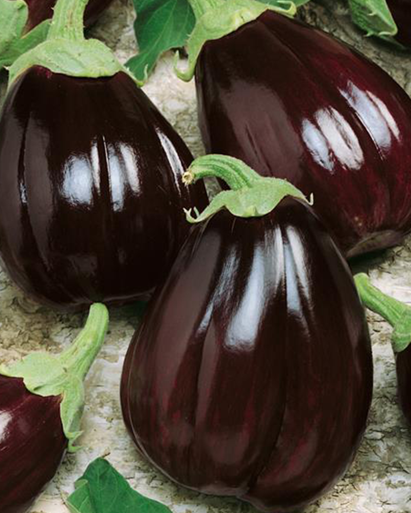Eggplant Satin Moon 4"