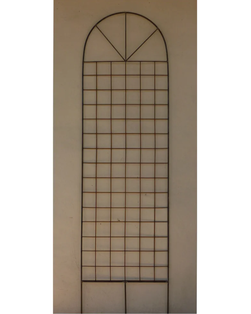 Trellis Medium 6'x2'