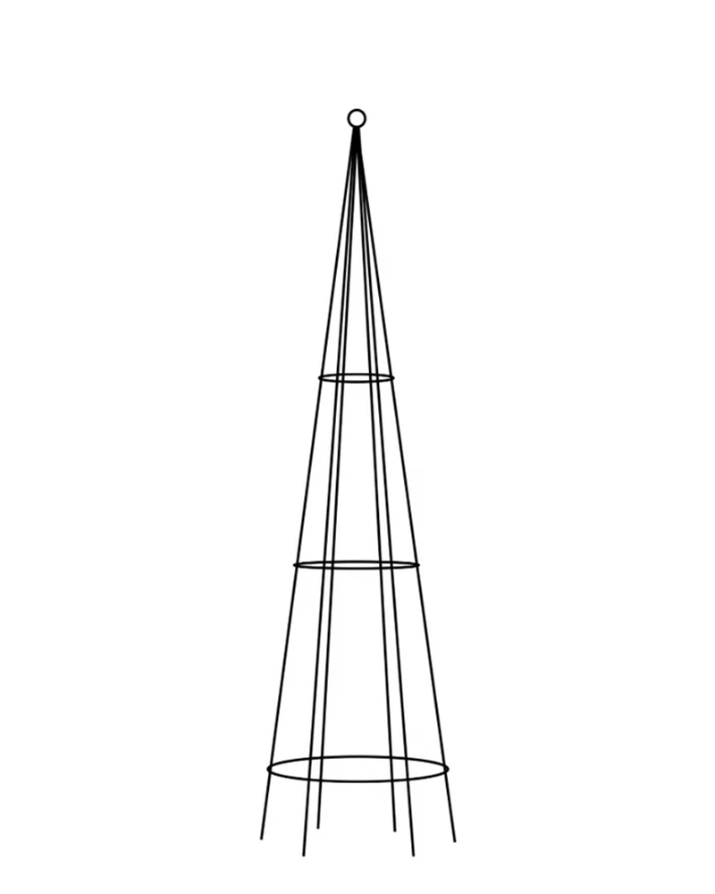 Medium Cone Topiary 4'6"