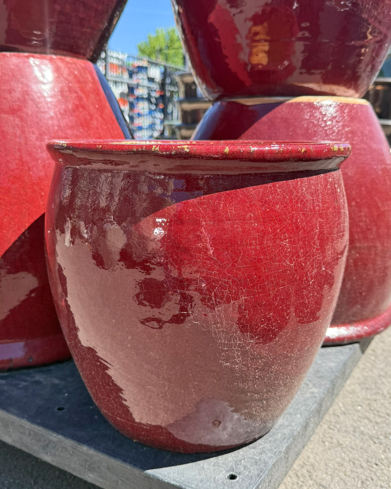 Fish Bowl Pot Ox Red 12"