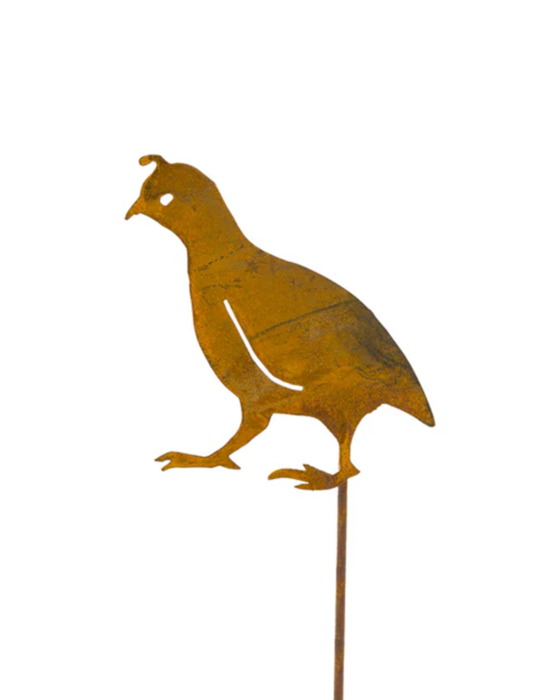 Stake Quail Chick Head Up