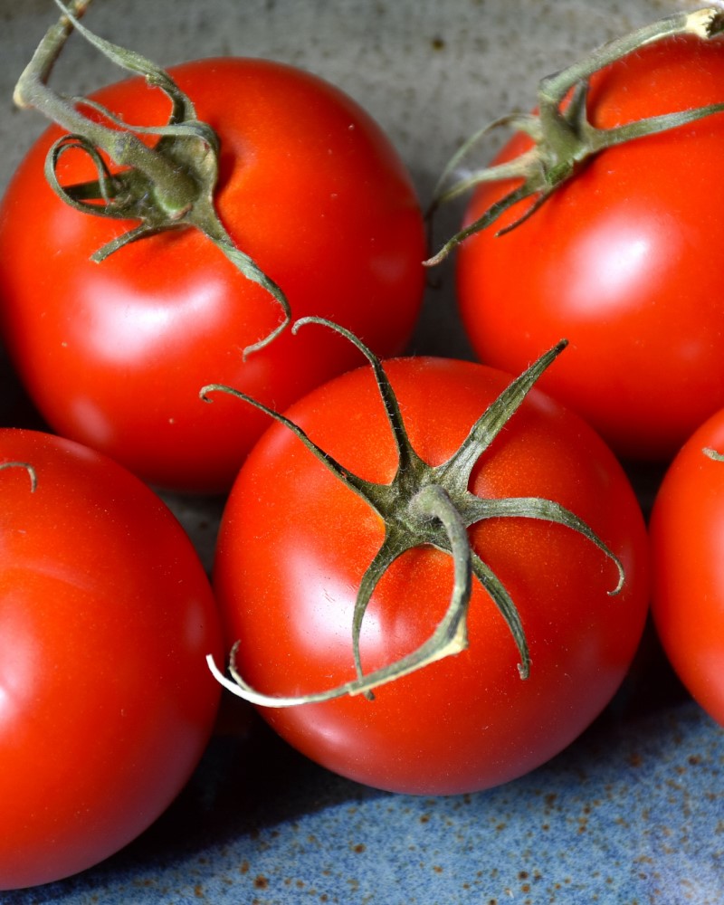 Tomato Patio #1