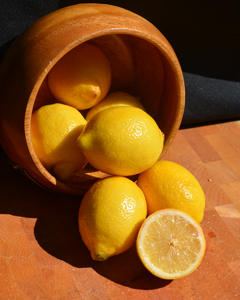 Citrus Meyer Lemon 12"