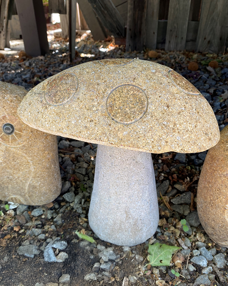 Boulder Mushroom 10"