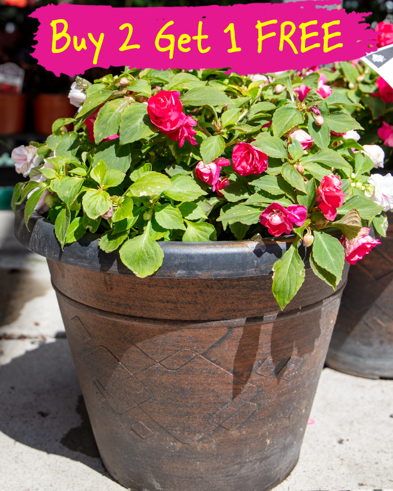 MixMasters All that Glimmers Patio Pot 12"