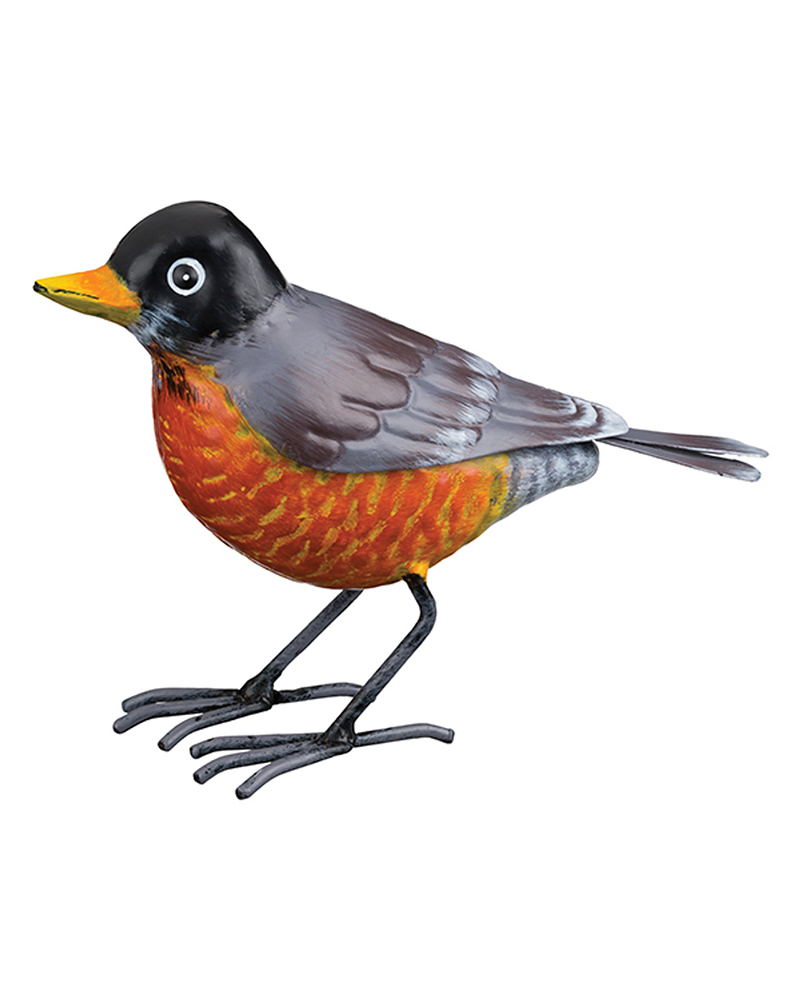 Robin Colorful Metal 7.5"L