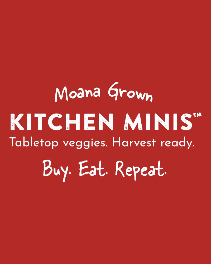 Pepper Hot Fajita Kitchen Mini #1