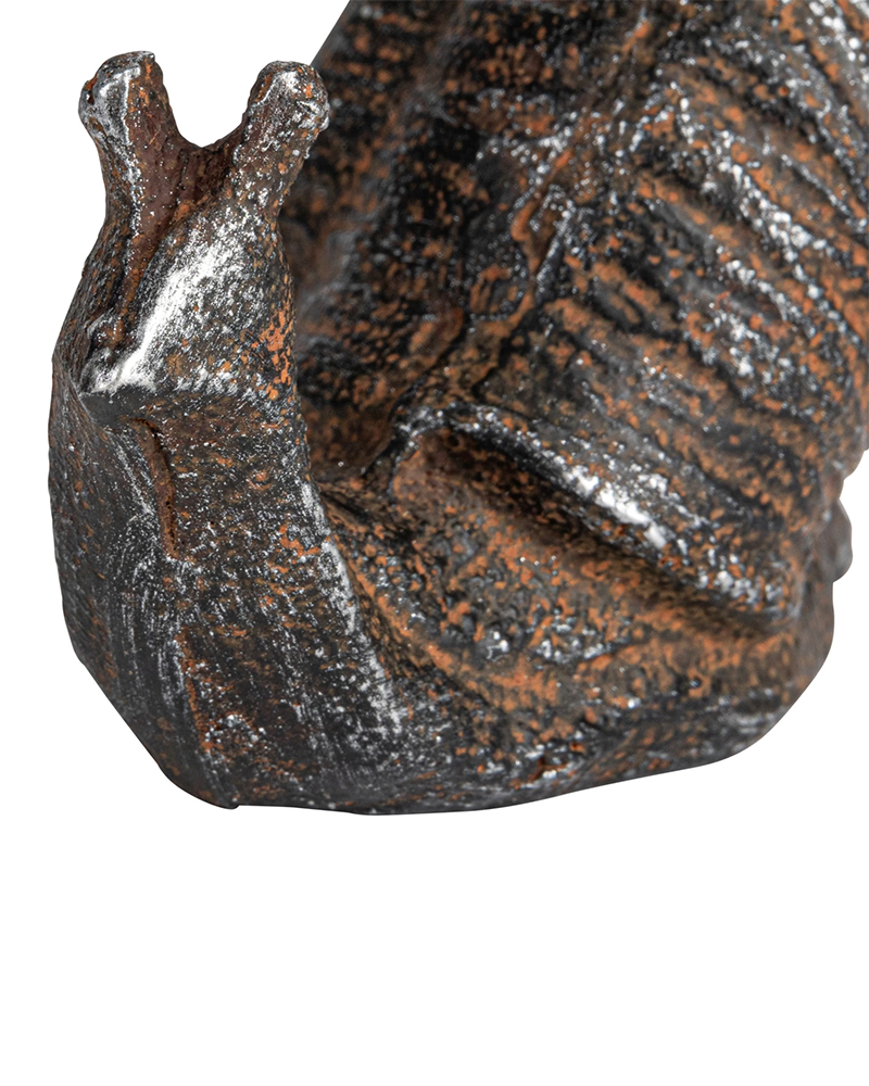 Snail Cast Iron Rust 5.75\"