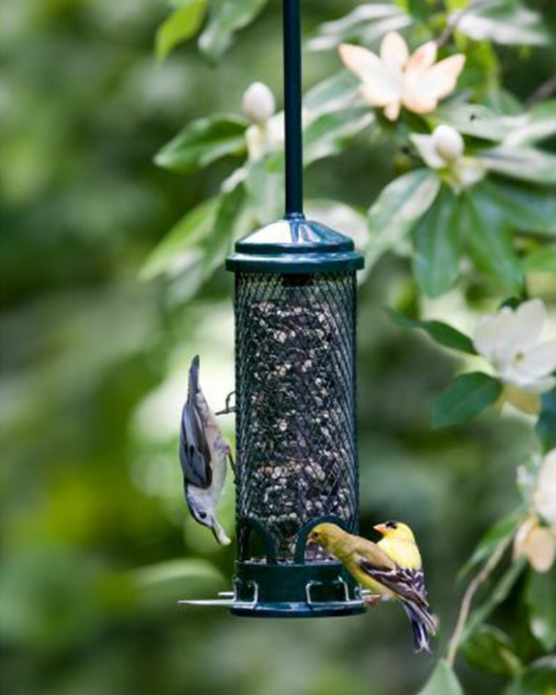 Squirrel Buster Mini Feeder