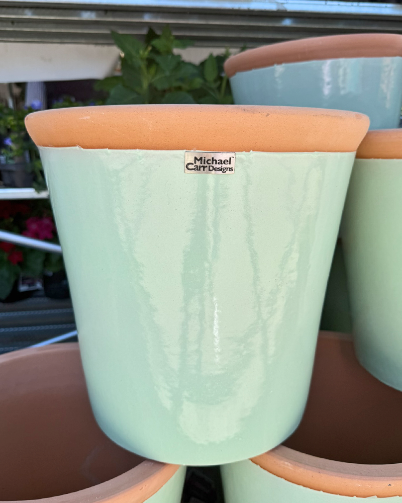 Unglazed Rim Pot Lemon Grass 13"