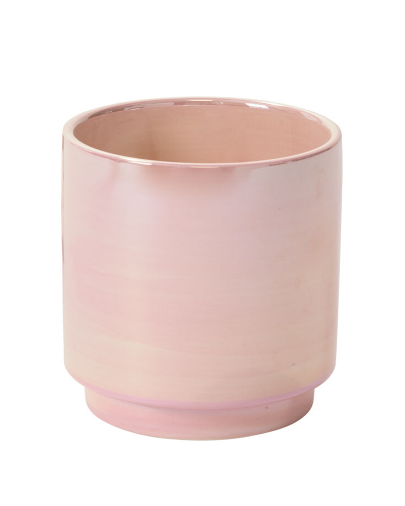 Passion Pot 6"