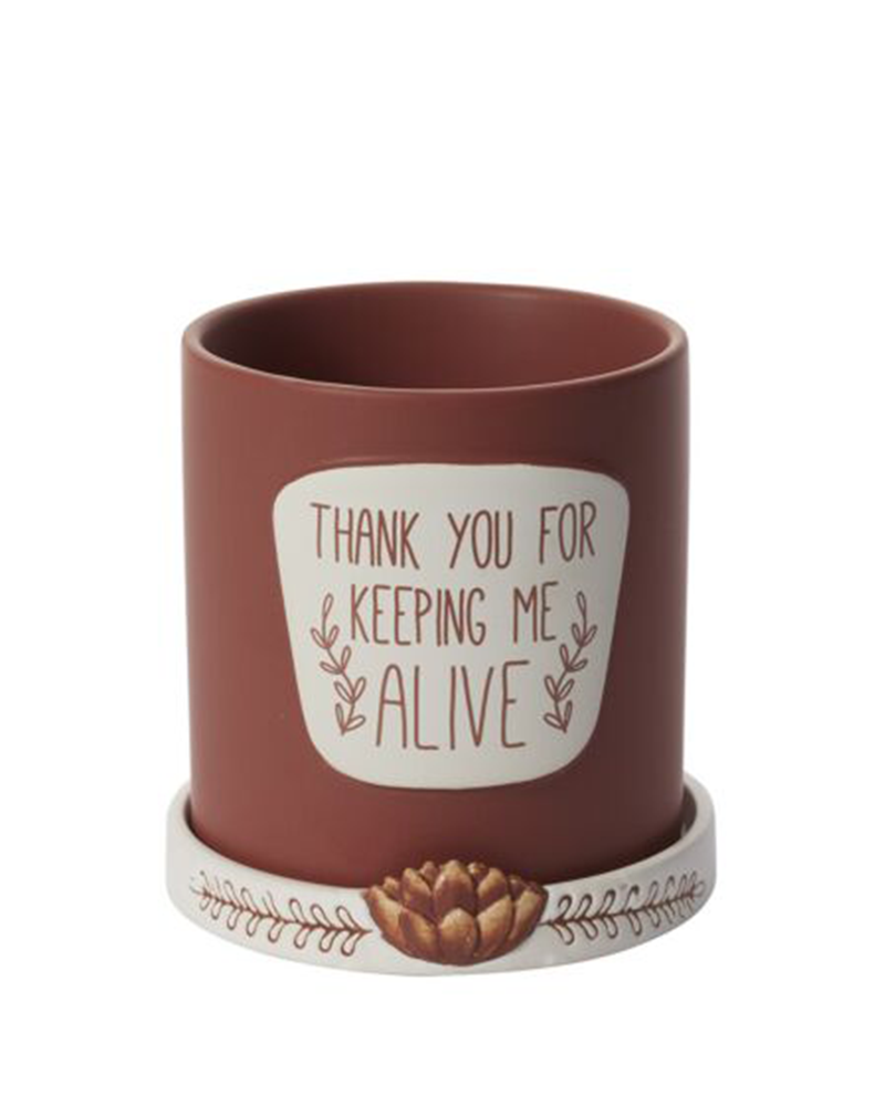 Thank You Pot 5"