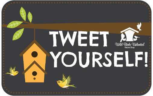 Tweet Yourself!