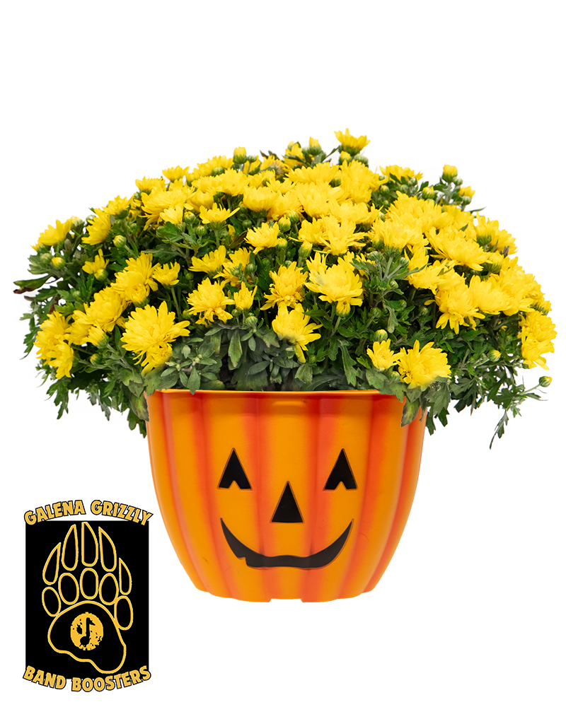 Galena High School Band Boosters Maxi-Mum