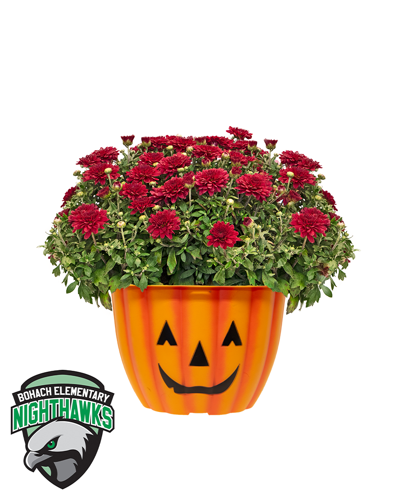 Bohach Elementary School Mini-Mum