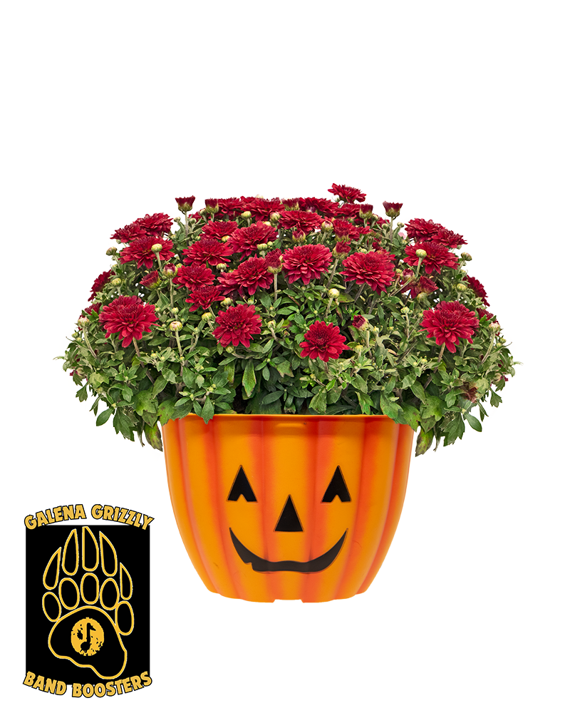 Galena High School Band Boosters Mini-Mum