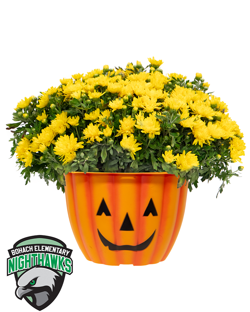 Bohach Elementary School Maxi-Mum
