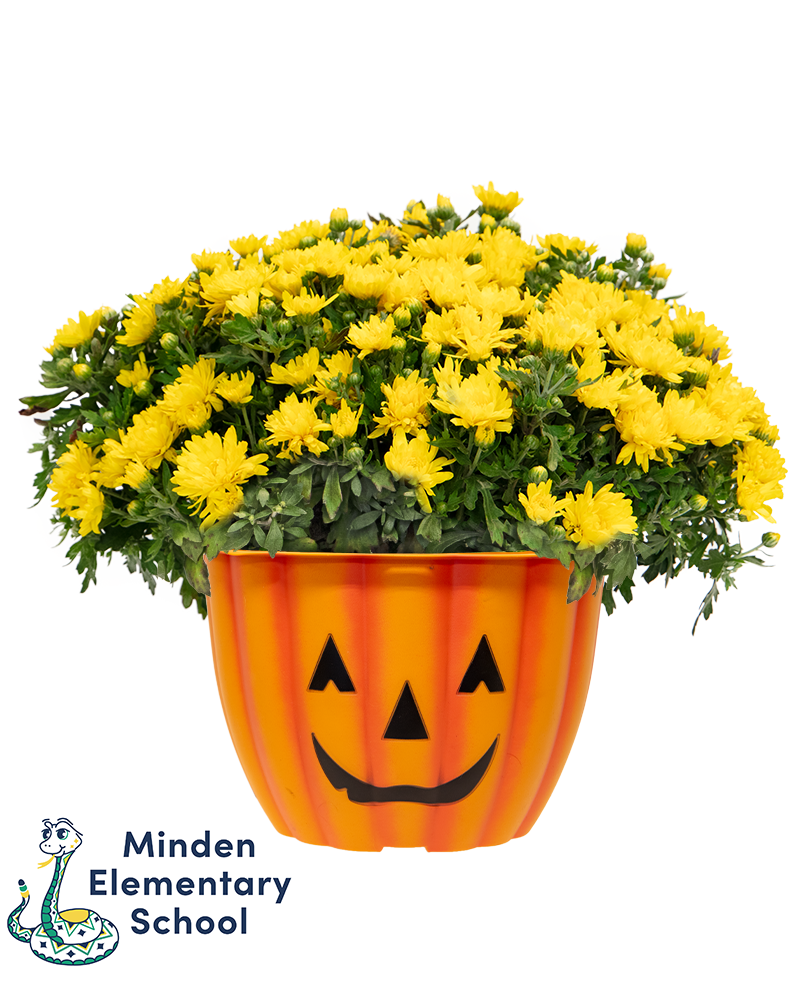 Minden Elementary School Maxi-Mum