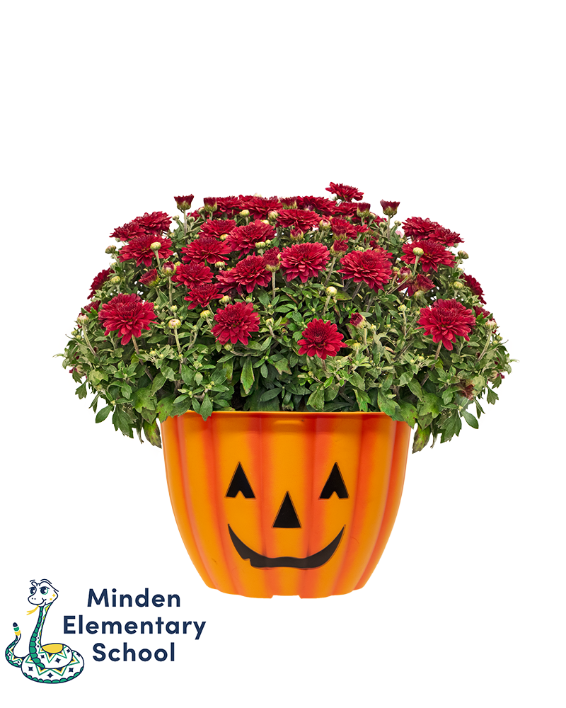 Minden Elementary School Mini-Mum