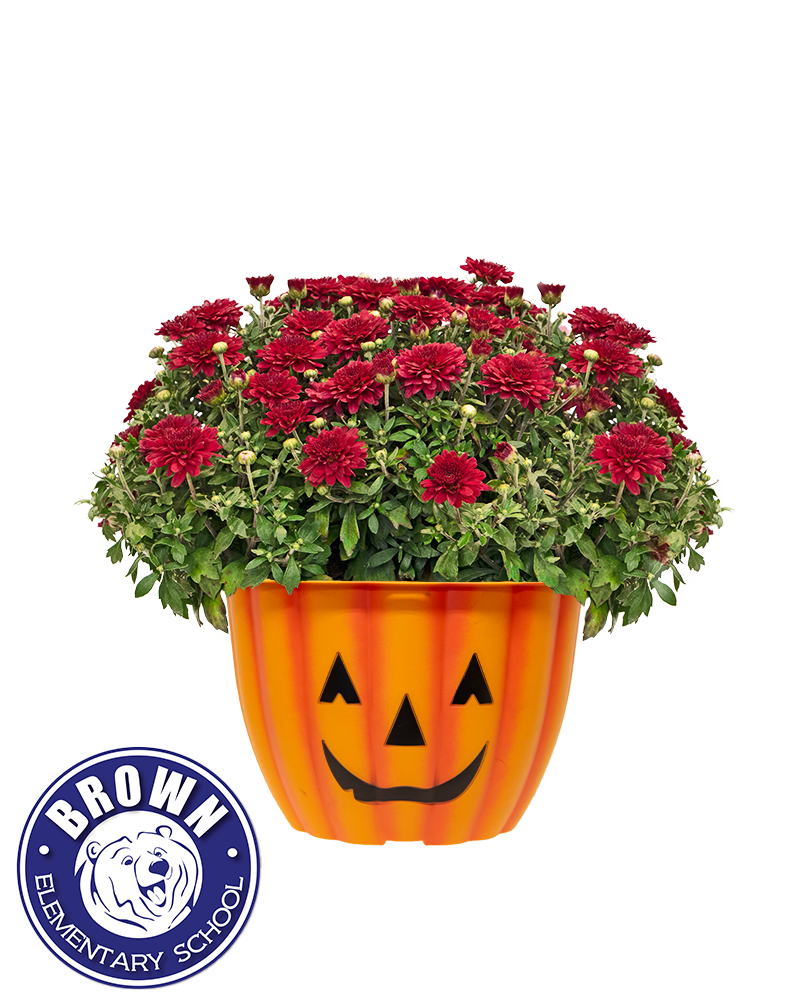 Brown Elementary School 3rd Grade Mini-Mum