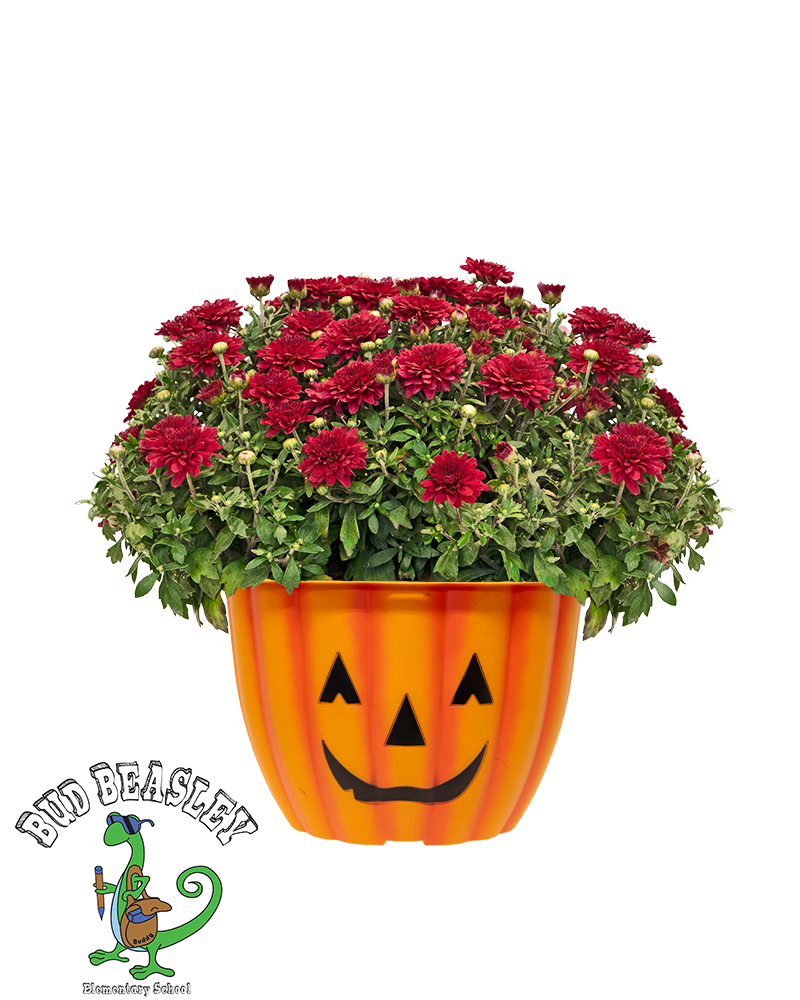Bud Beasley PTO Mini-Mum