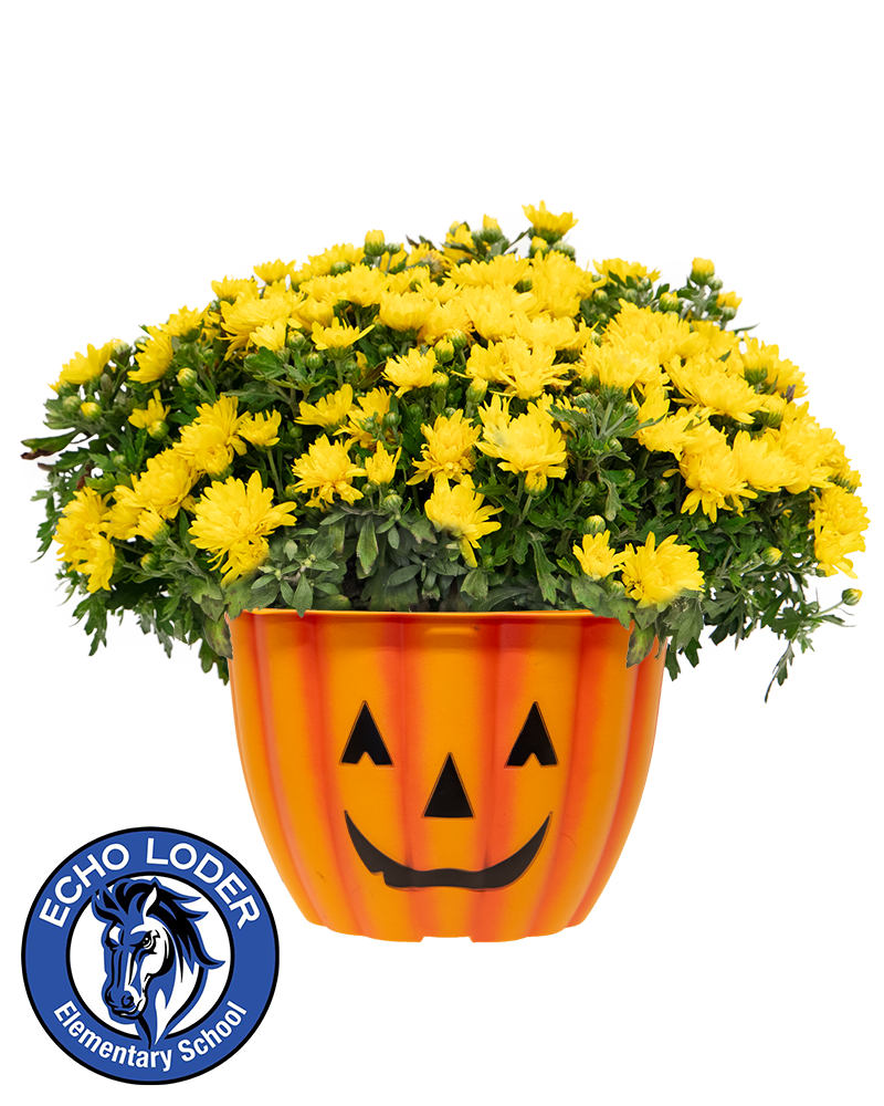 Echo Loder Elementary School Mini-Mum
