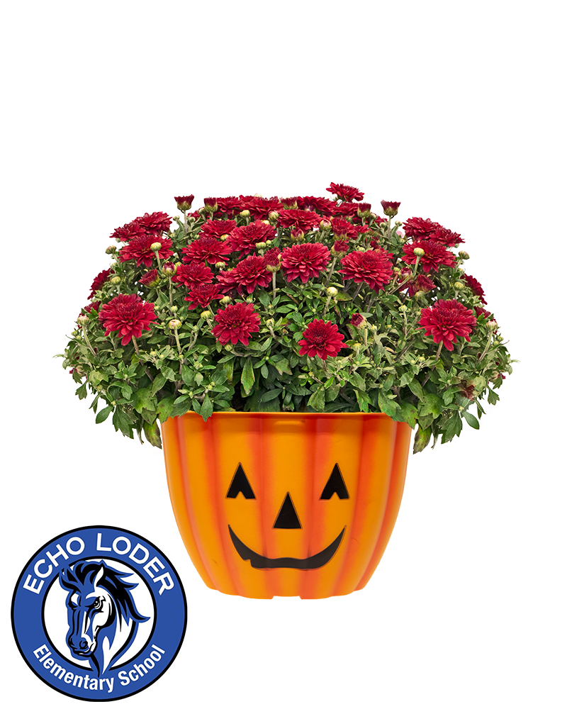 Echo Loder Elementary School Mini-Mum