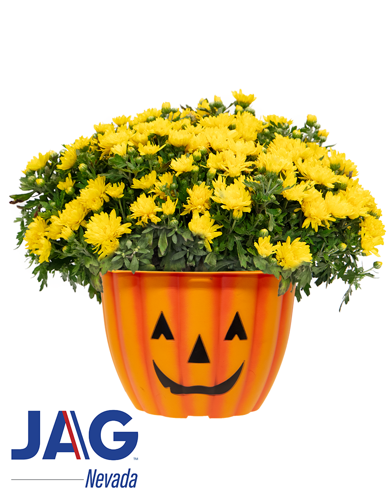 Job's for Nevada's Graduates Inc. - Reed High School Maxi-Mum