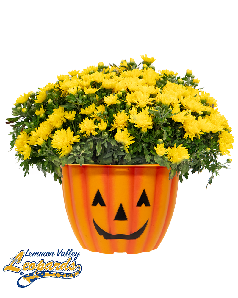 Lemmon Valley Elementary School Maxi-Mum