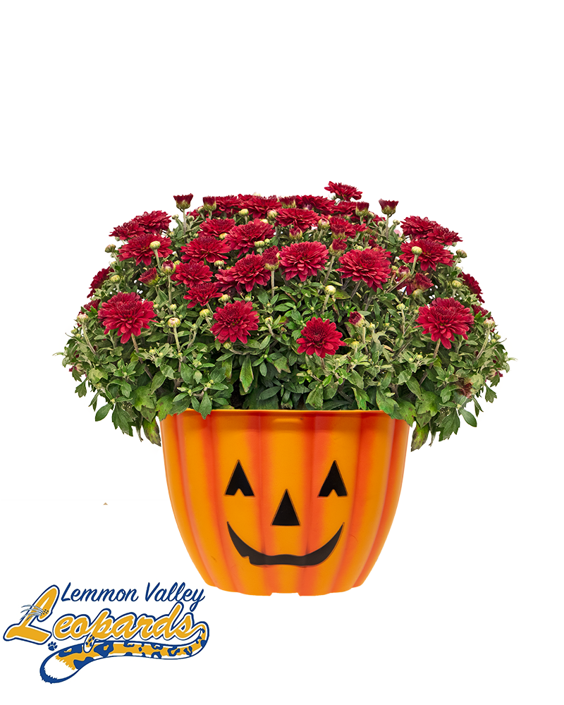 Lemmon Valley Elementary School Mini-Mum