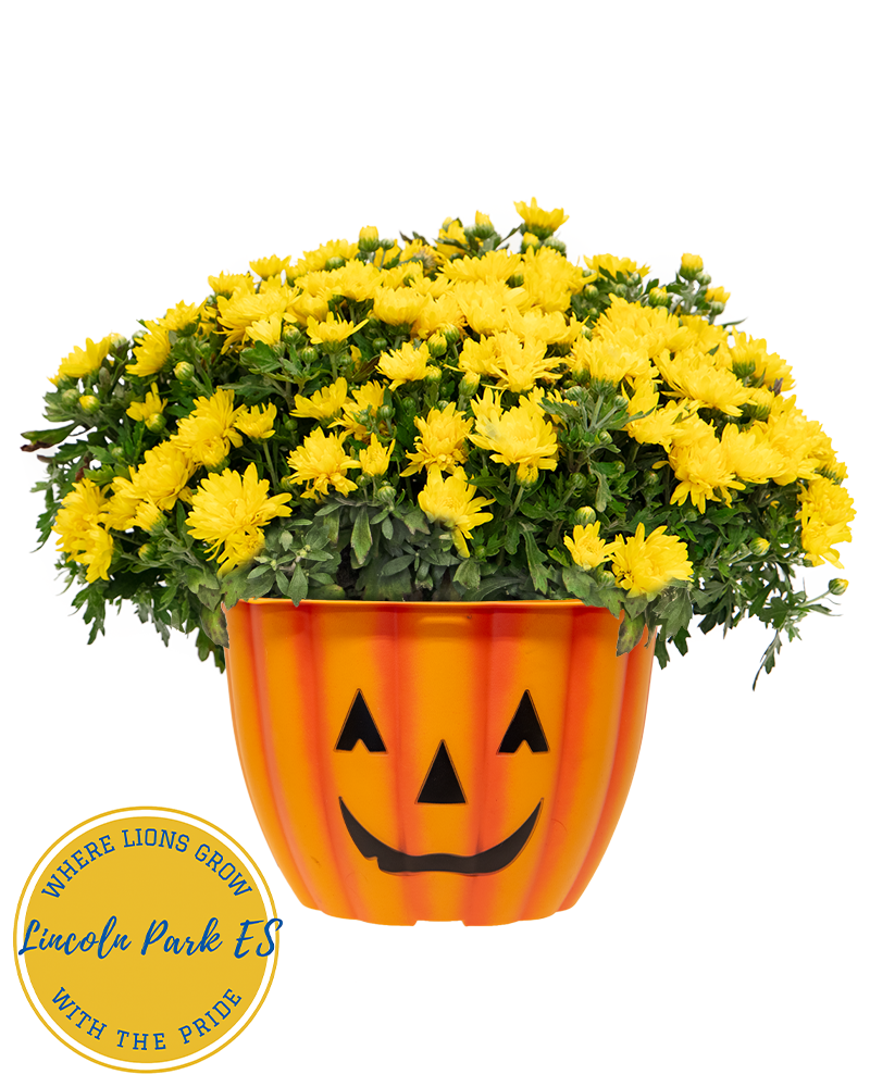 Lincoln Park Elementary School Maxi-Mum