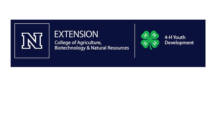 Lyon County 4-H Leaders Council