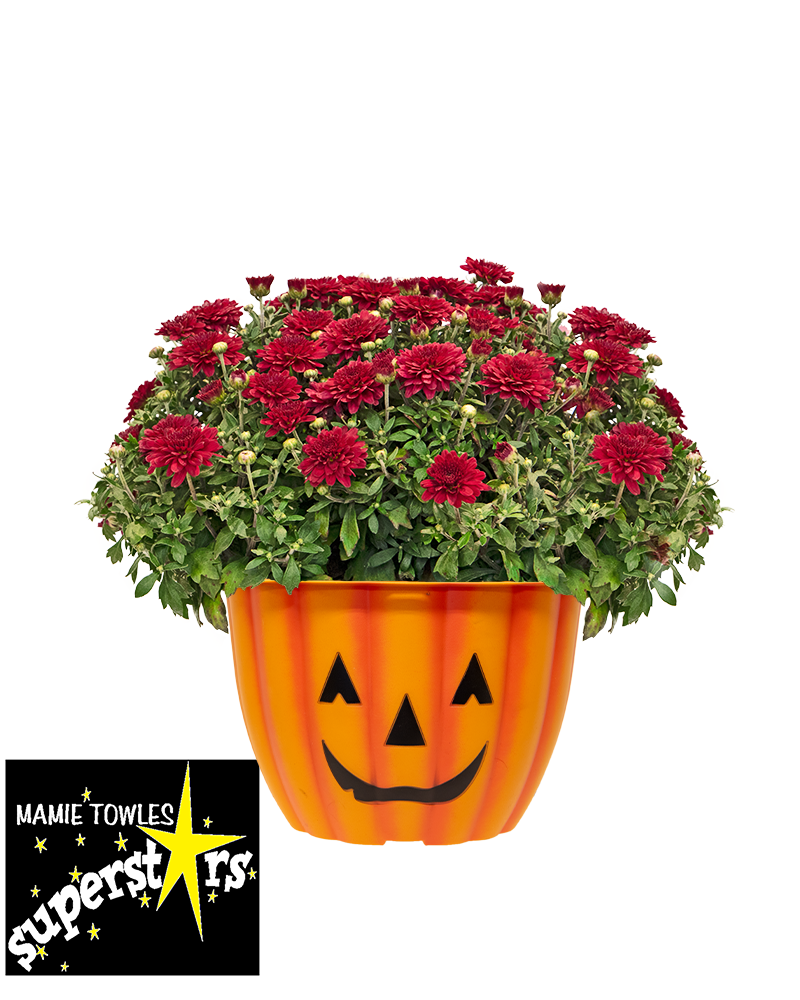 Mamie Towles Elementary PTO Mini-Mum