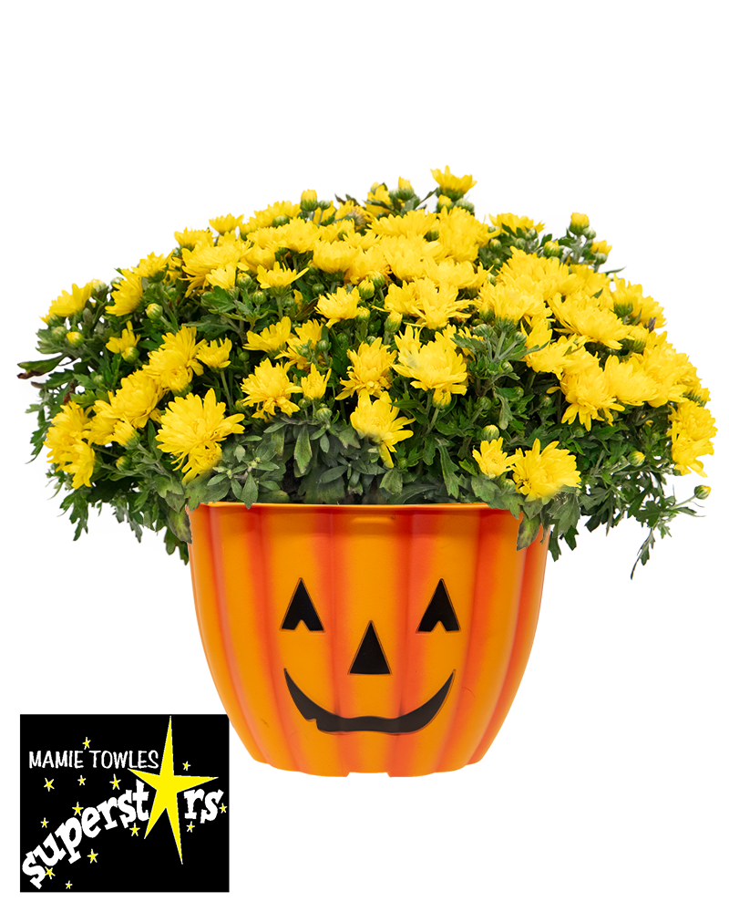 Mamie Towles Elementary PTO Maxi-Mum
