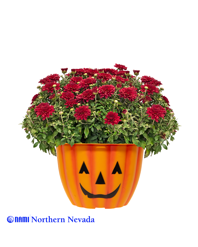 NAMI Northern Nevada Mini-Mum