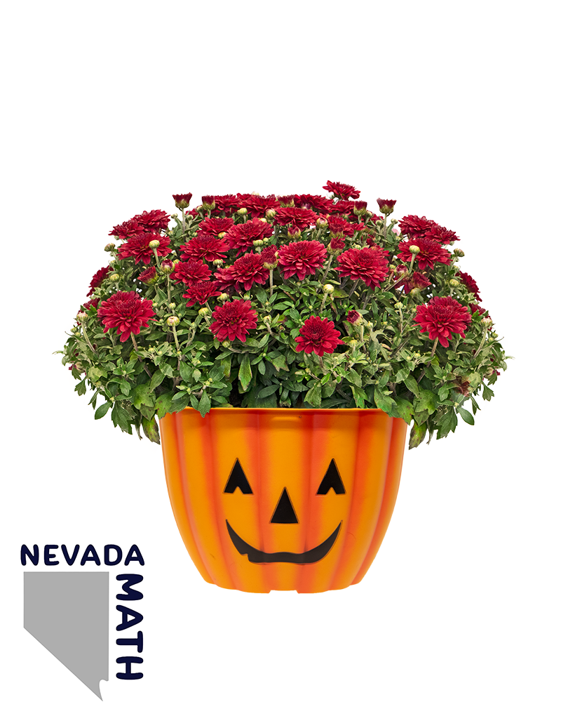 Nevada Math Mini-Mum
