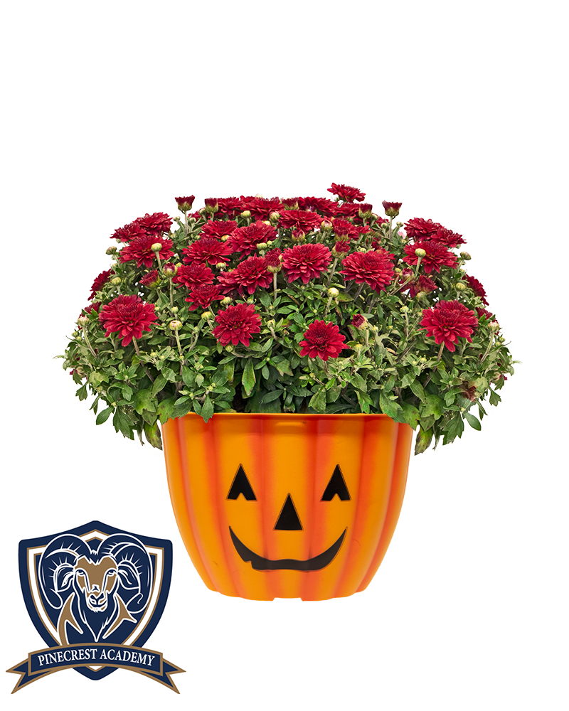 Pinecrest Academy NNV Mini-Mum