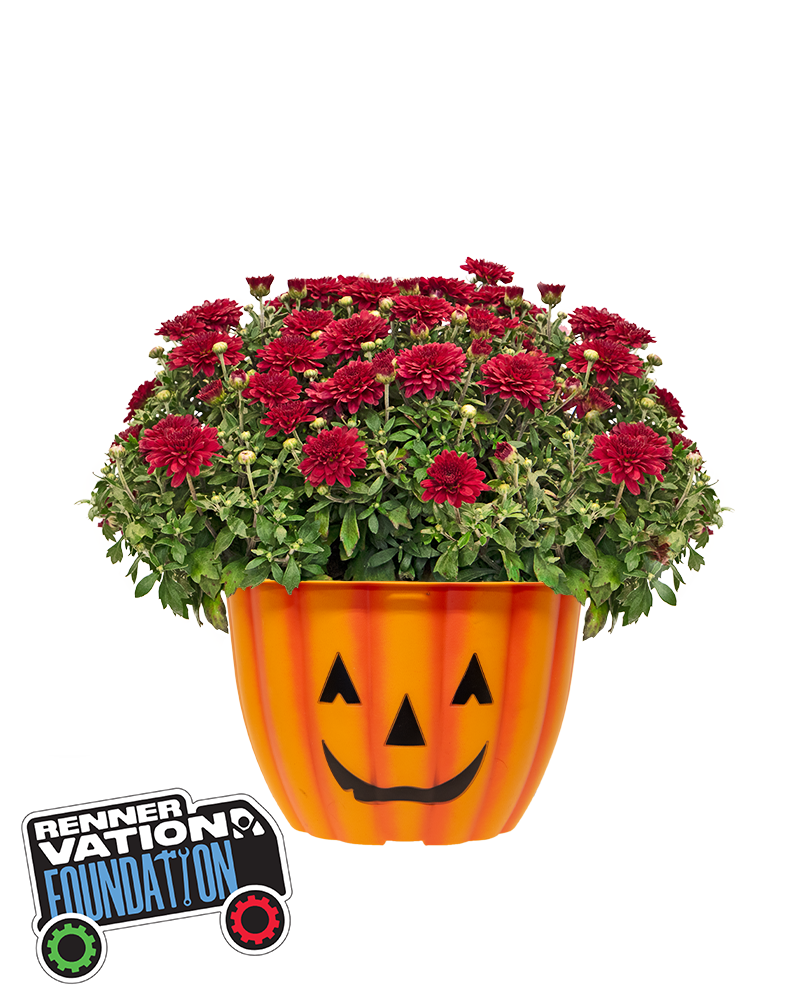 RennerVation Foundation Mini-Mum