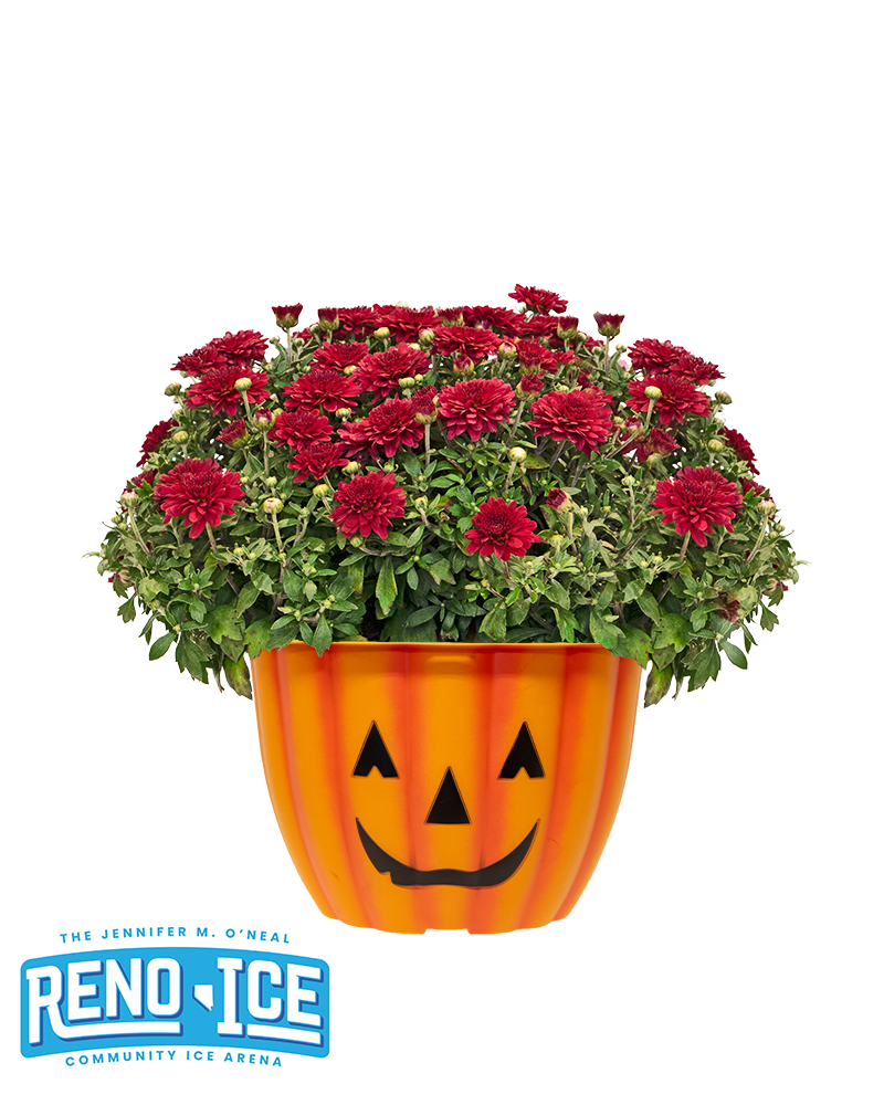 Reno Ice Mini-Mum