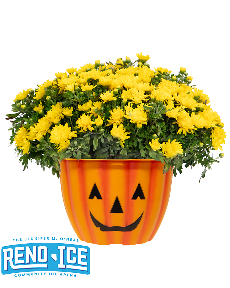 Reno Ice Maxi-Mum