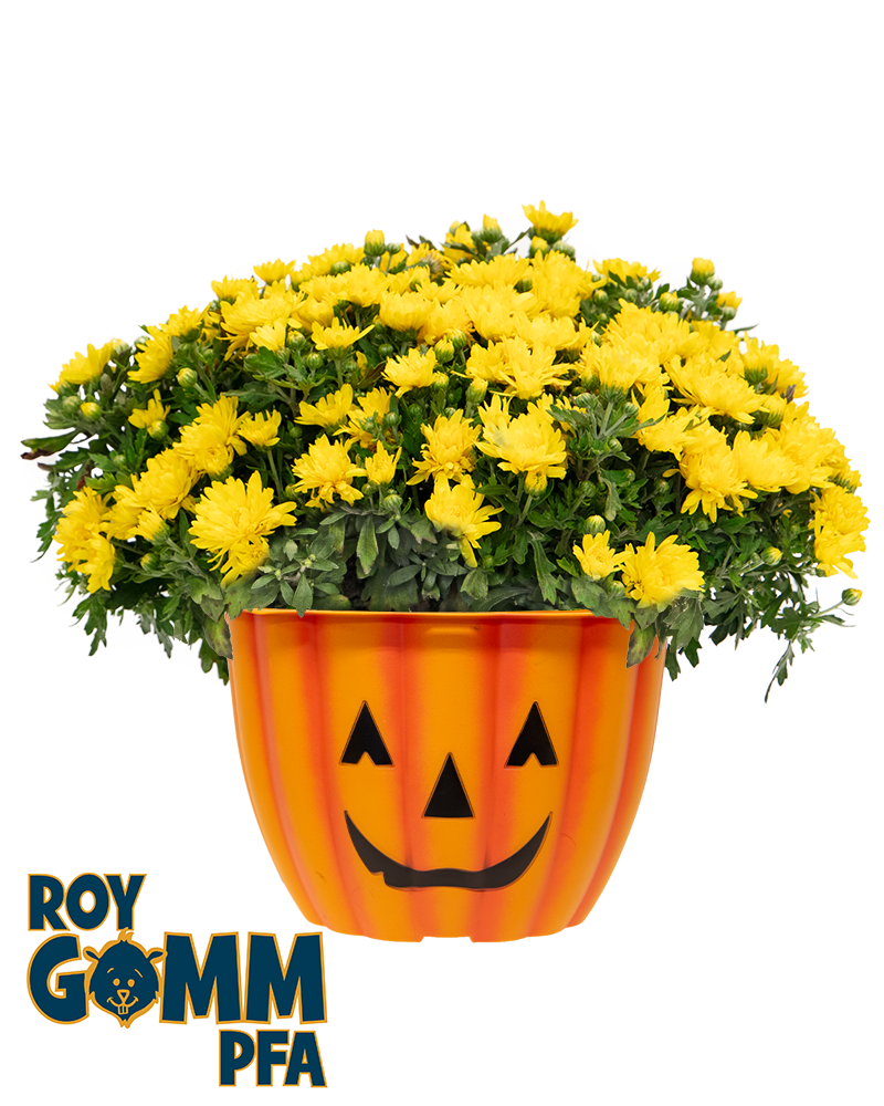 Roy Gomm Parent Faculty Association (PFA) Maxi-Mum