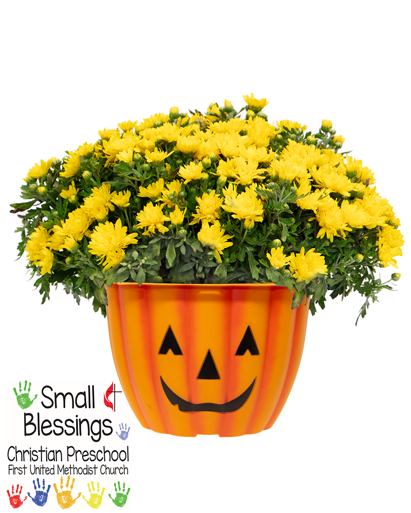 Small Blessings Christian Pre-School Maxi-Mum